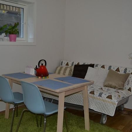Totally Independent Apartment Near Ntnu,Lerkendal And Center Trondheim Dış mekan fotoğraf